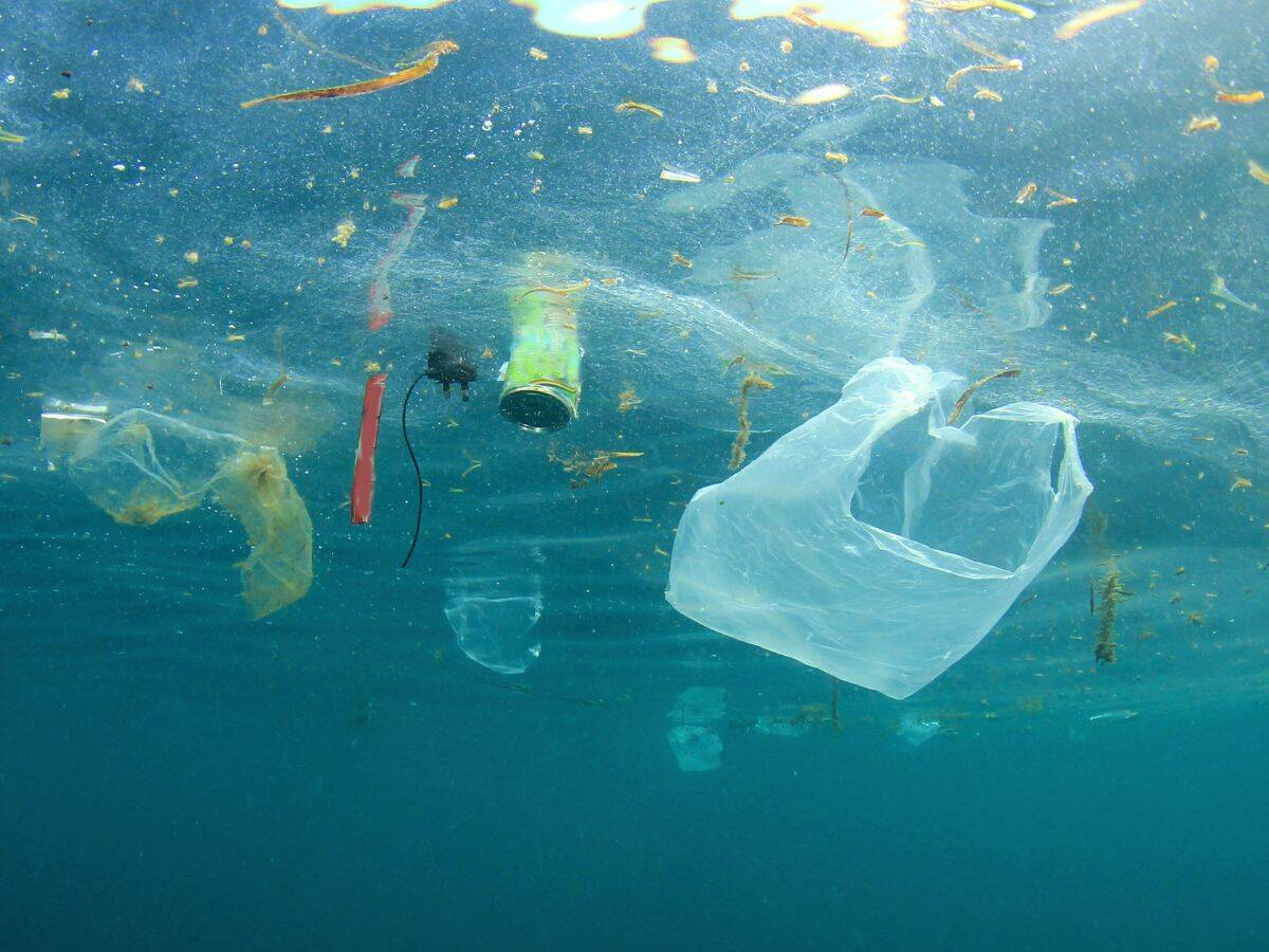 What Is The Purpose of Sewer Systems 2 plastic bags and other objects floating in the water