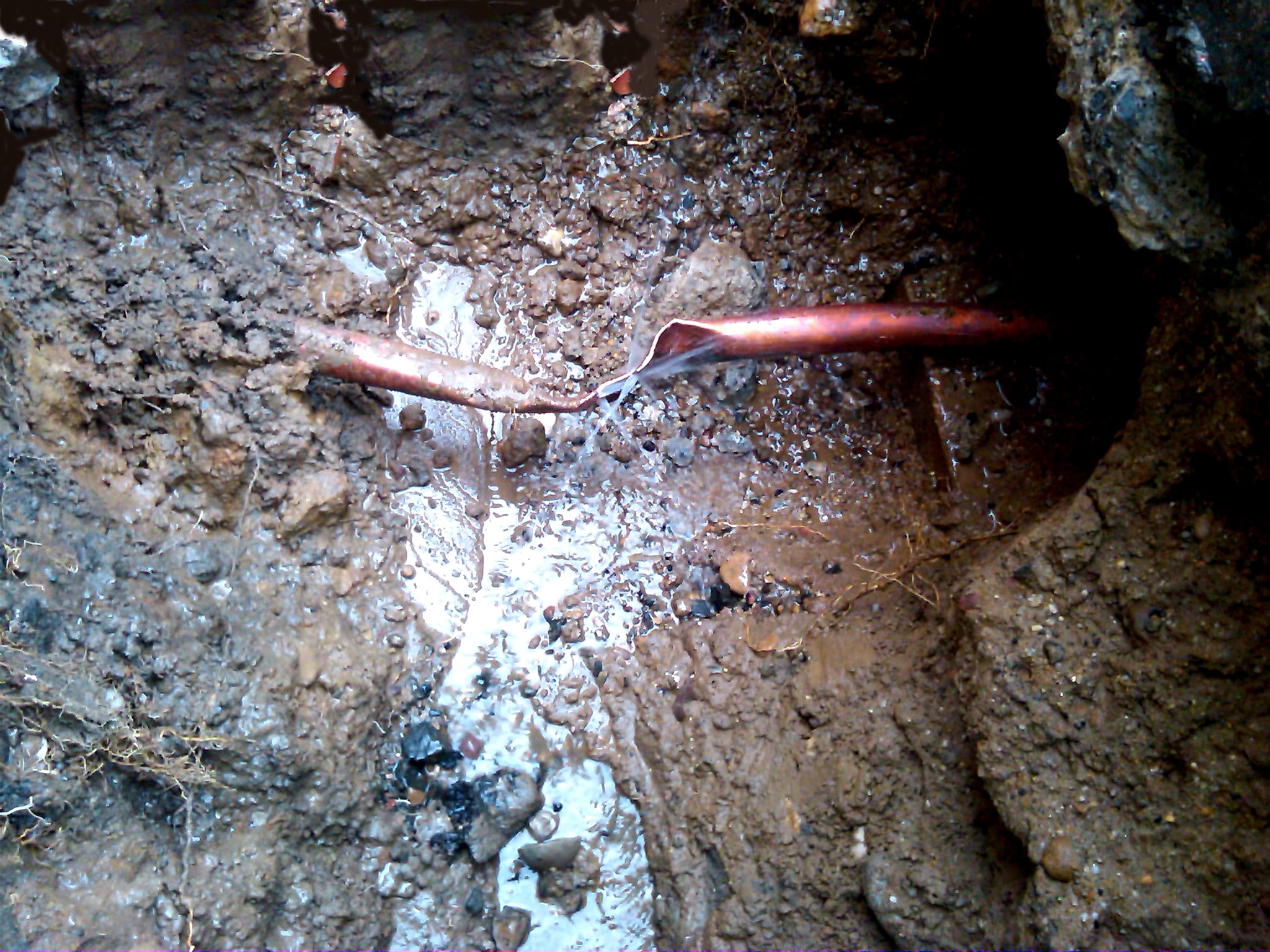 Main Water Line Leak From Your House? Learn What To Do