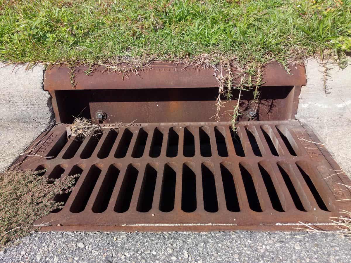 a metal grate with grass growing on it
