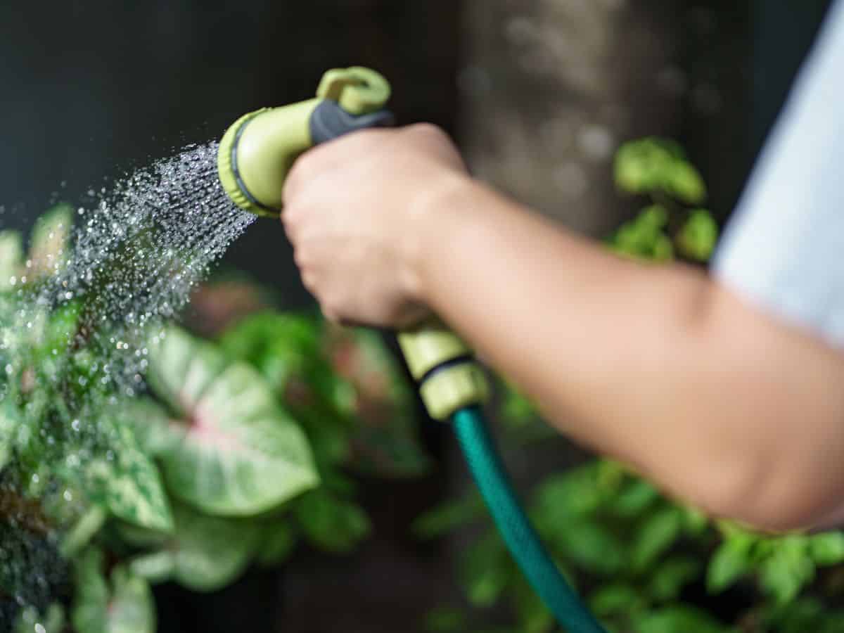 Lower Your Water Bill This Summer With These Tips 2 a person watering plants with a hose