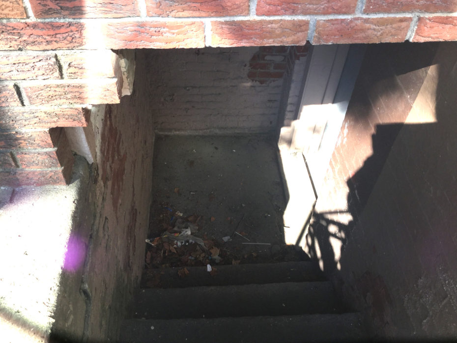 clogged area drain