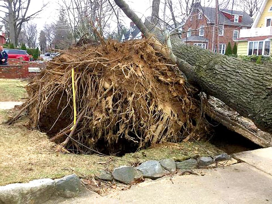 Best Sewer Repair Near Me