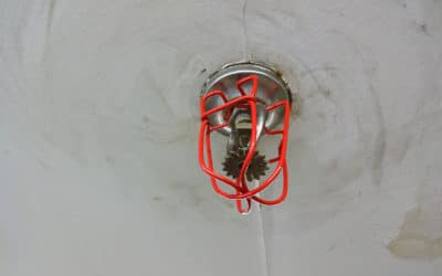 Domestic Fire Sprinklers Provide Cost Effective Fire Protection