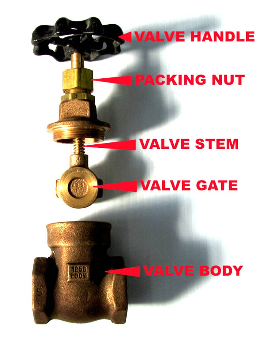The components of a brass gate water valve explained.
