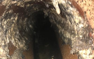 How To Prevent Fat, Oil, and Grease Clogs In Your Sewer