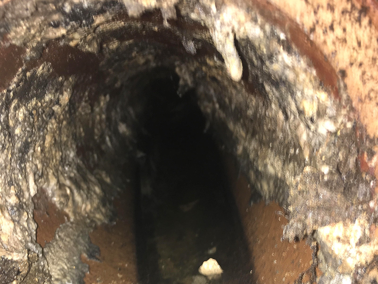 grease in pipes