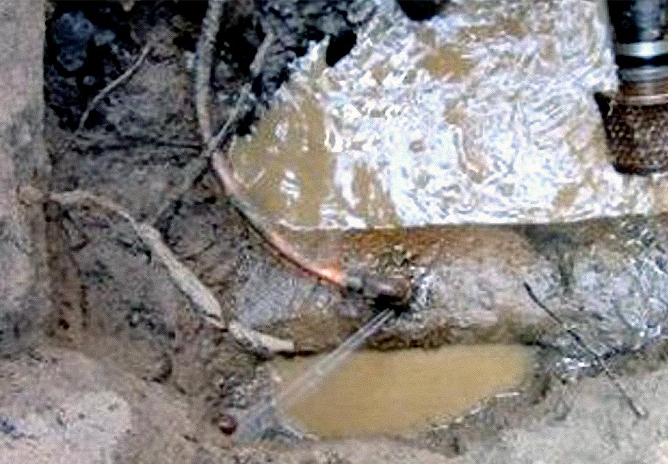 An Underground Water Line Break Is Stressfull, Learn What To Do