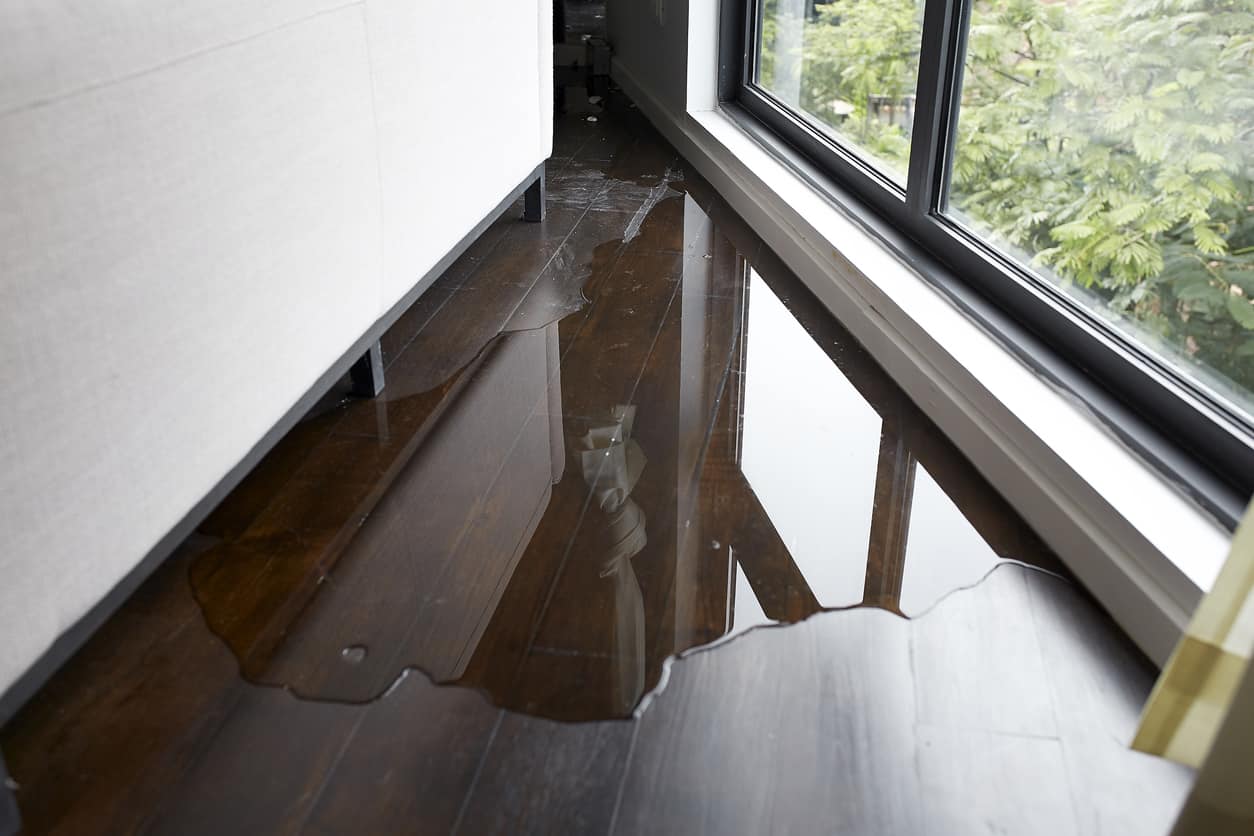Water leak on a wooden floorboard of a residential home.