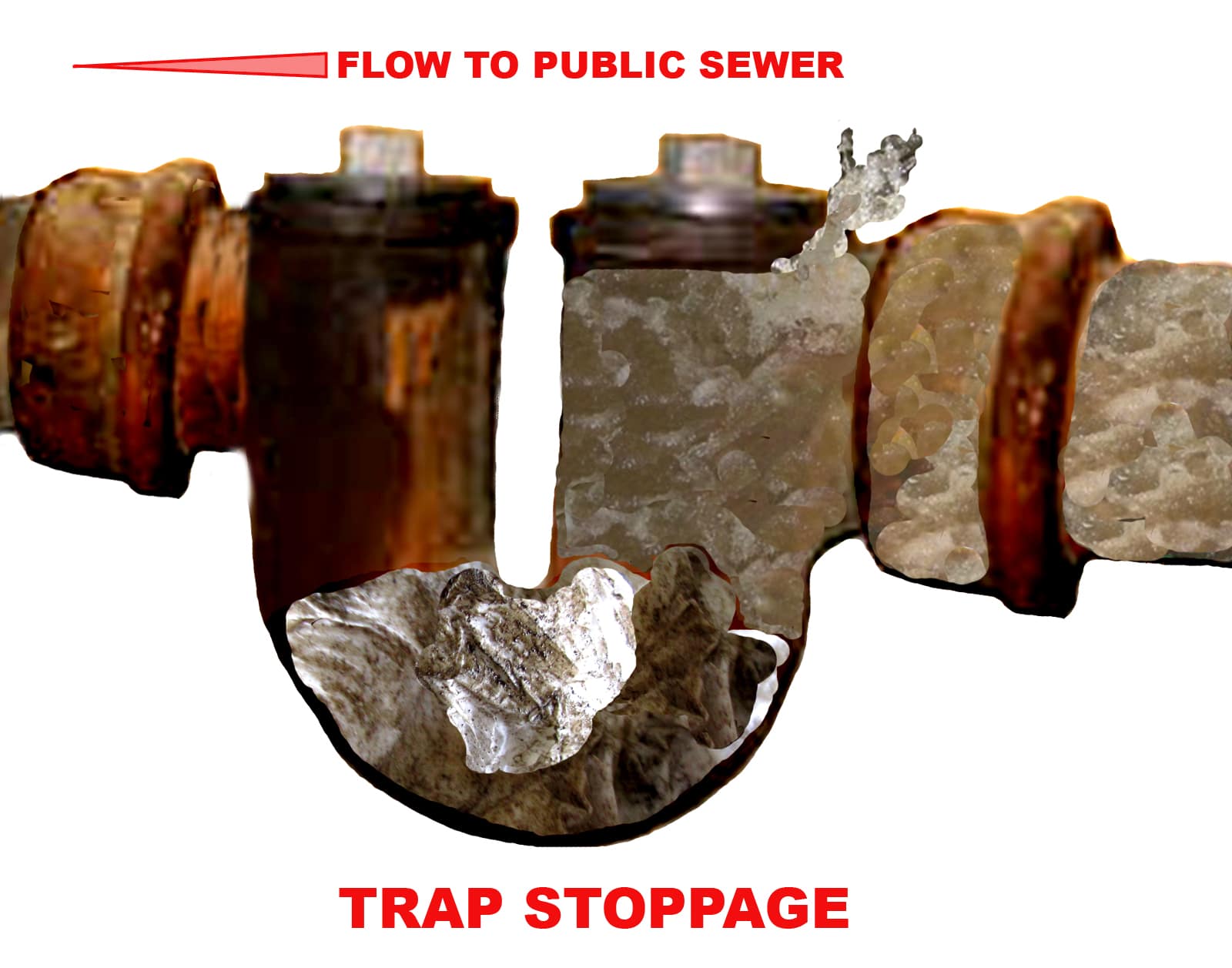 Sewer Trap And Sewer Check Valve Replacement