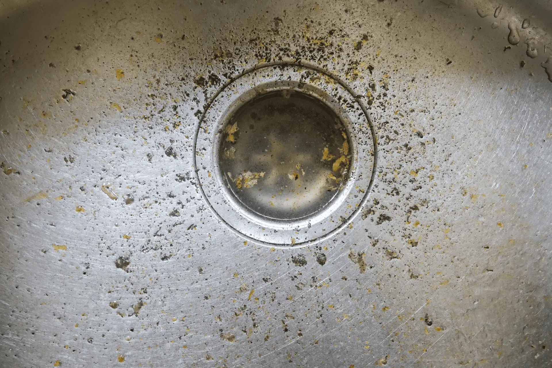 Smelly Kitchen Sink Or Grinder