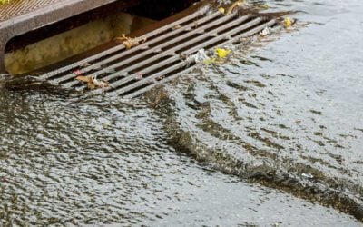 Tips for Storm Drain Cleaning and Maintenance
