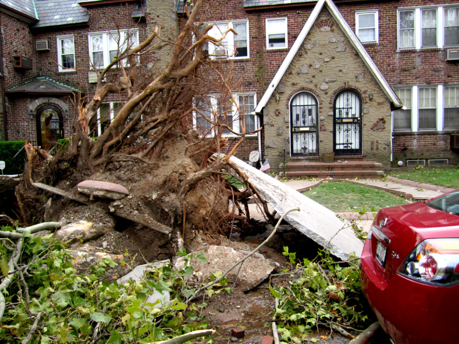 Tree causes water main break