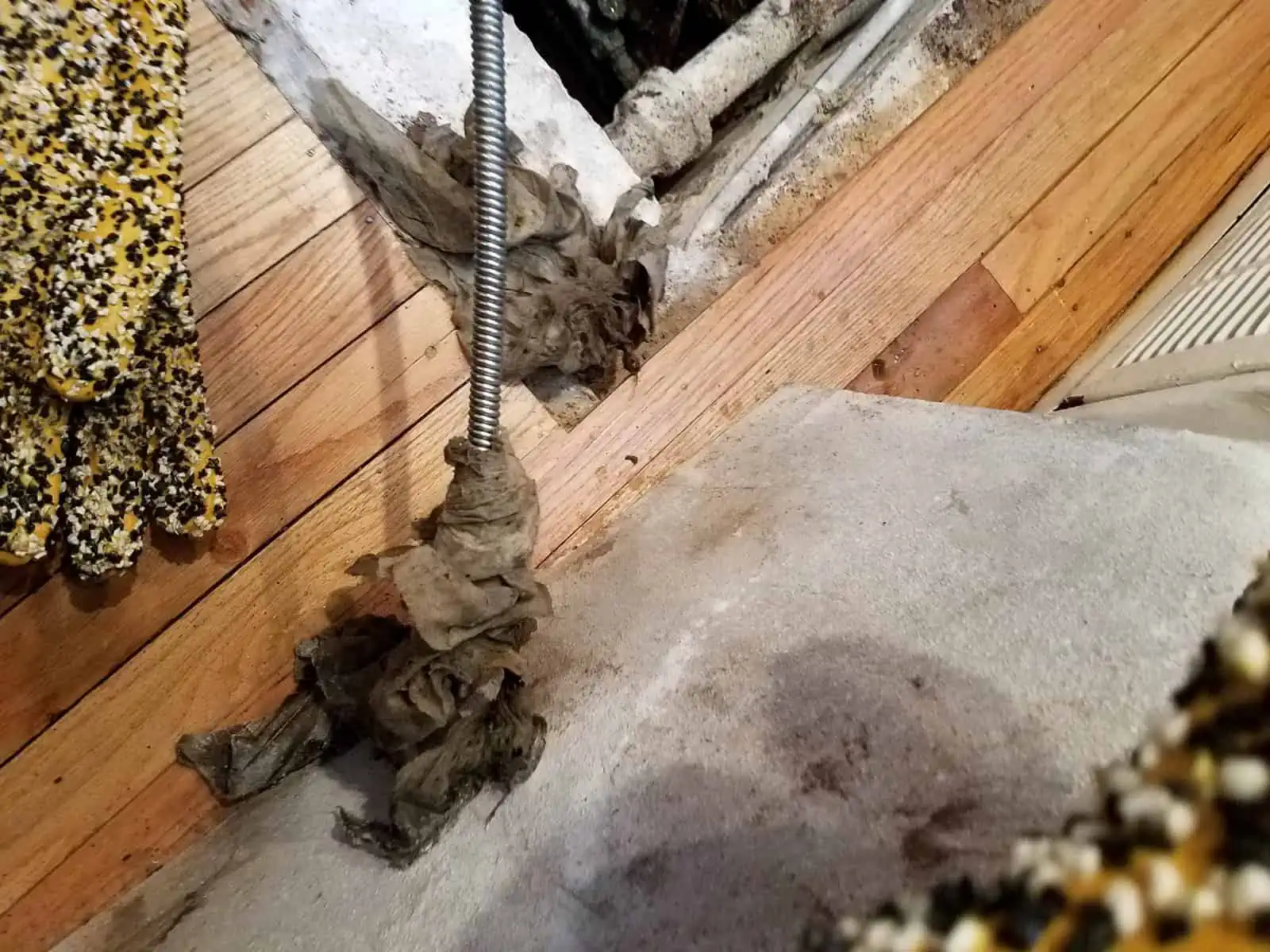 A sewer snake clearing flushible wipes out of a clogged drain line.
