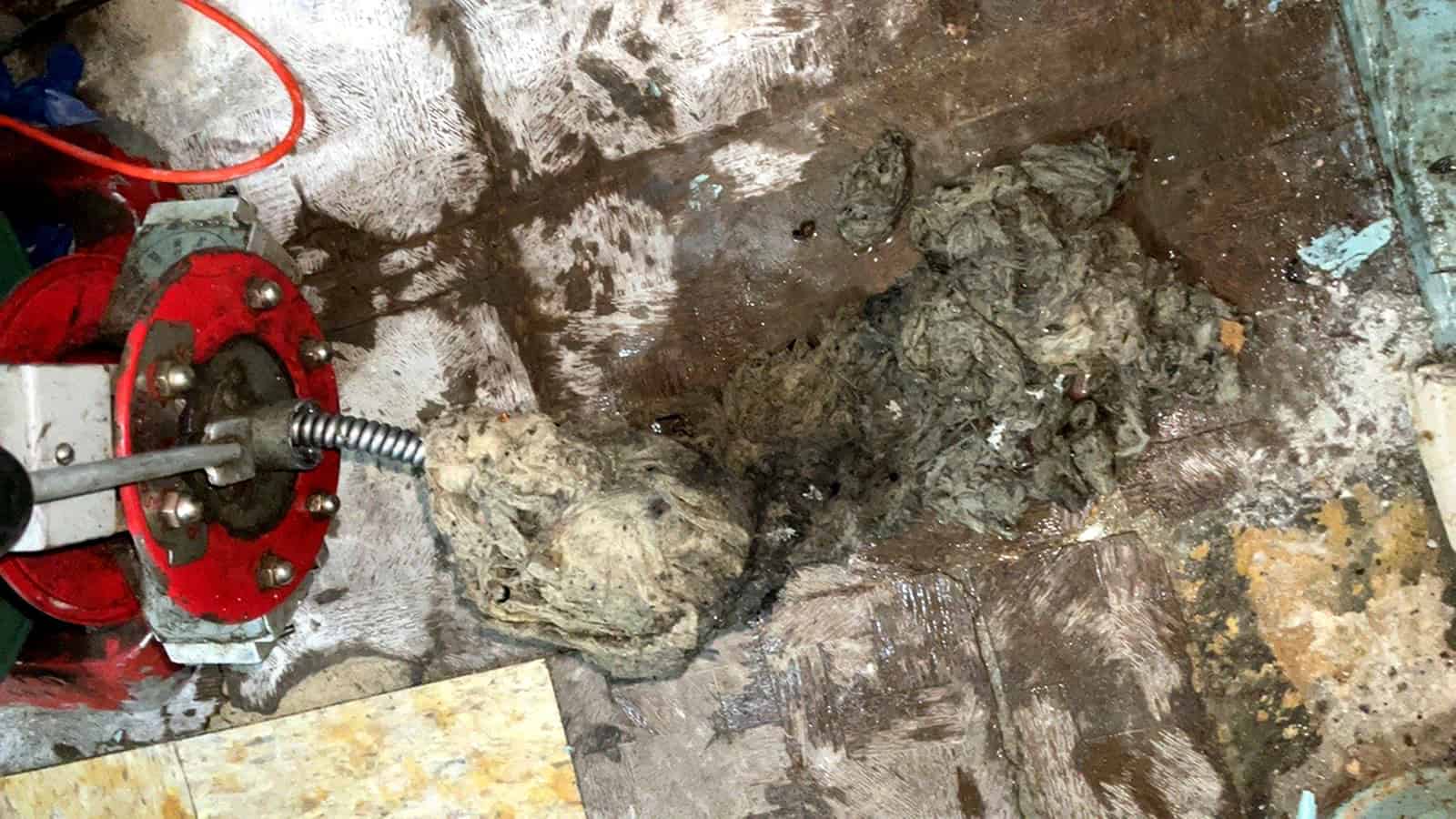 Sewer clog of flushable wipes, that really are not flushable.